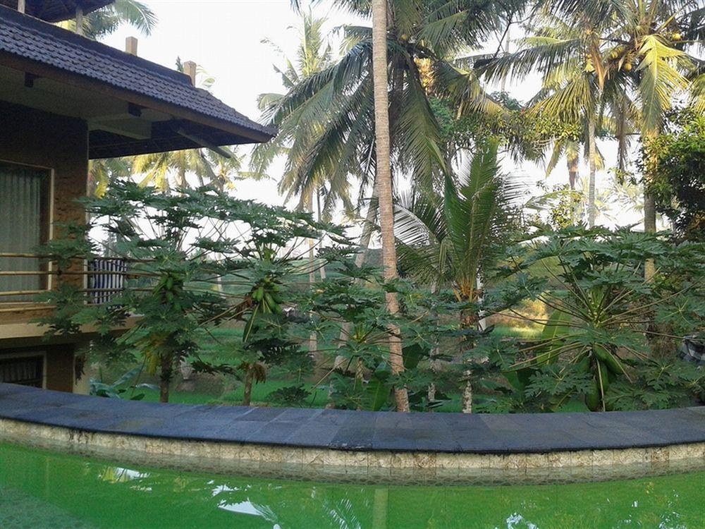 Junjungan Hotel&spa Wisma tamu