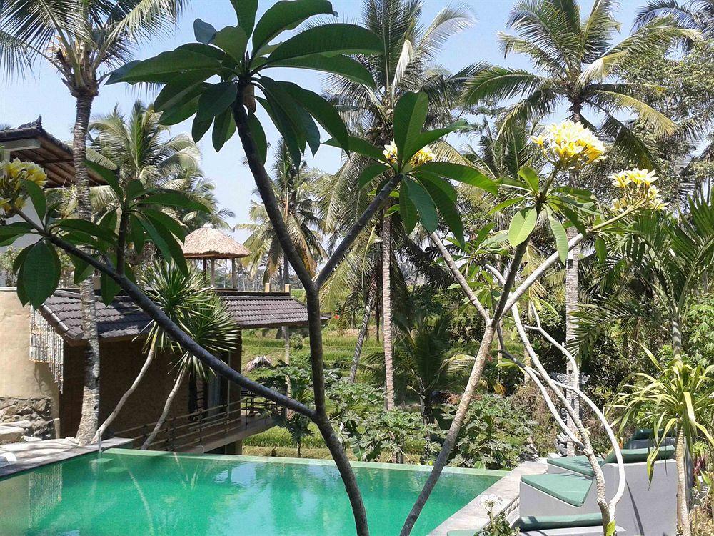 Junjungan Hotel&spa Wisma tamu 3*
