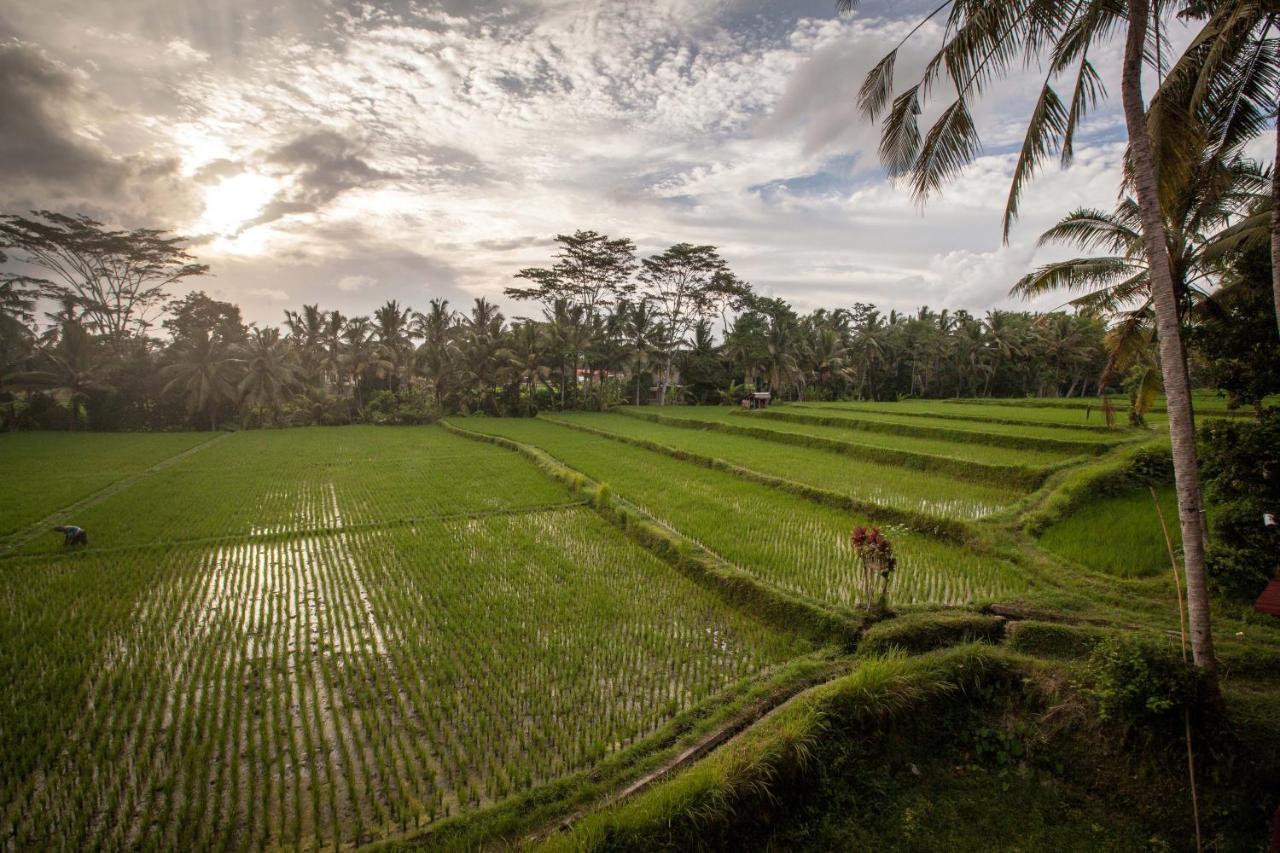 Junjungan Hotel&spa Ubud (Bali)